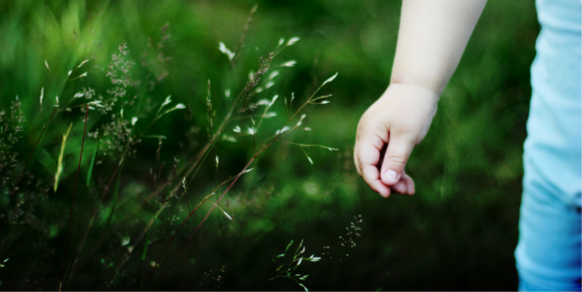 vers un futur plus respectueux envers la nature